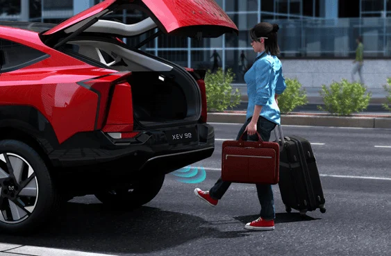 XEV29