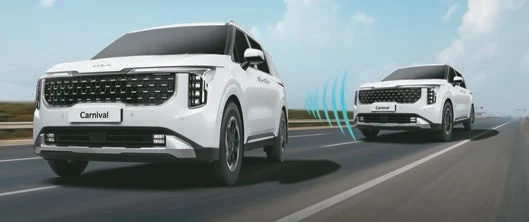 carniintg6